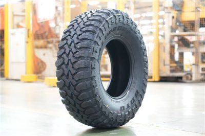 BM81