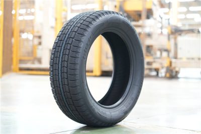 BS66